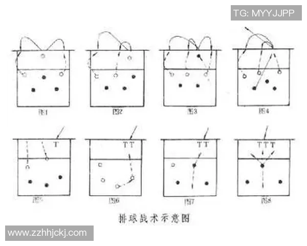 南京排球队反击战术深度解析与训练策略探讨