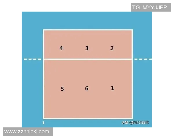 聚焦排球战术解析：杭州排球队如何在赛场上取得胜利