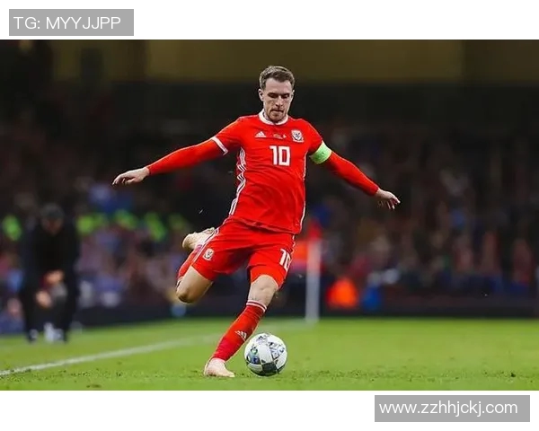 波黑对阵威尔士精彩直播全程回顾及赛后分析