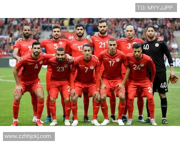 法国与冰岛足球对决盘口分析及投注建议详解