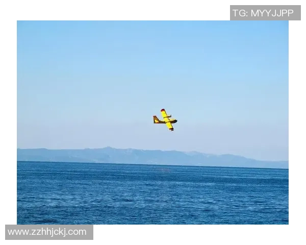 极限运动在上海的崛起与发展：探索本地运动队的精神与文化MBA